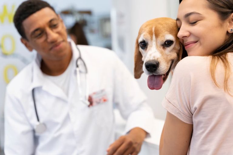 Por qué es la mejor inversión para la salud de tu mejor amigo
